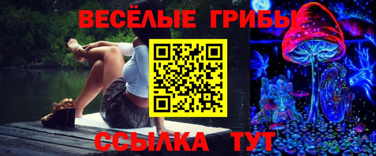 Псилоцибиновые грибы Magic Shrooms  Вход с VPN  Киреевск 