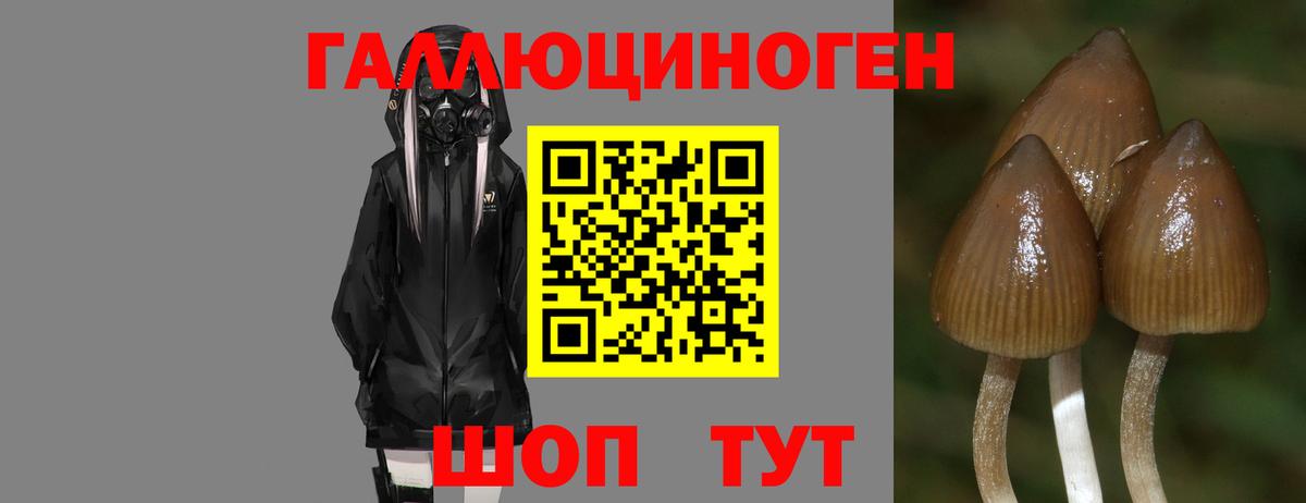 Псилоцибиновые грибы ЛСД  Киреевск 